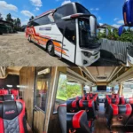 Sewa Mobil Bus Pariwisata Murah 2
