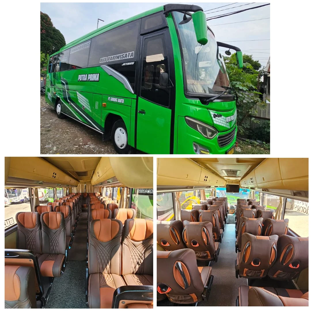 Medium Bus Pariwisata Wandi Trans