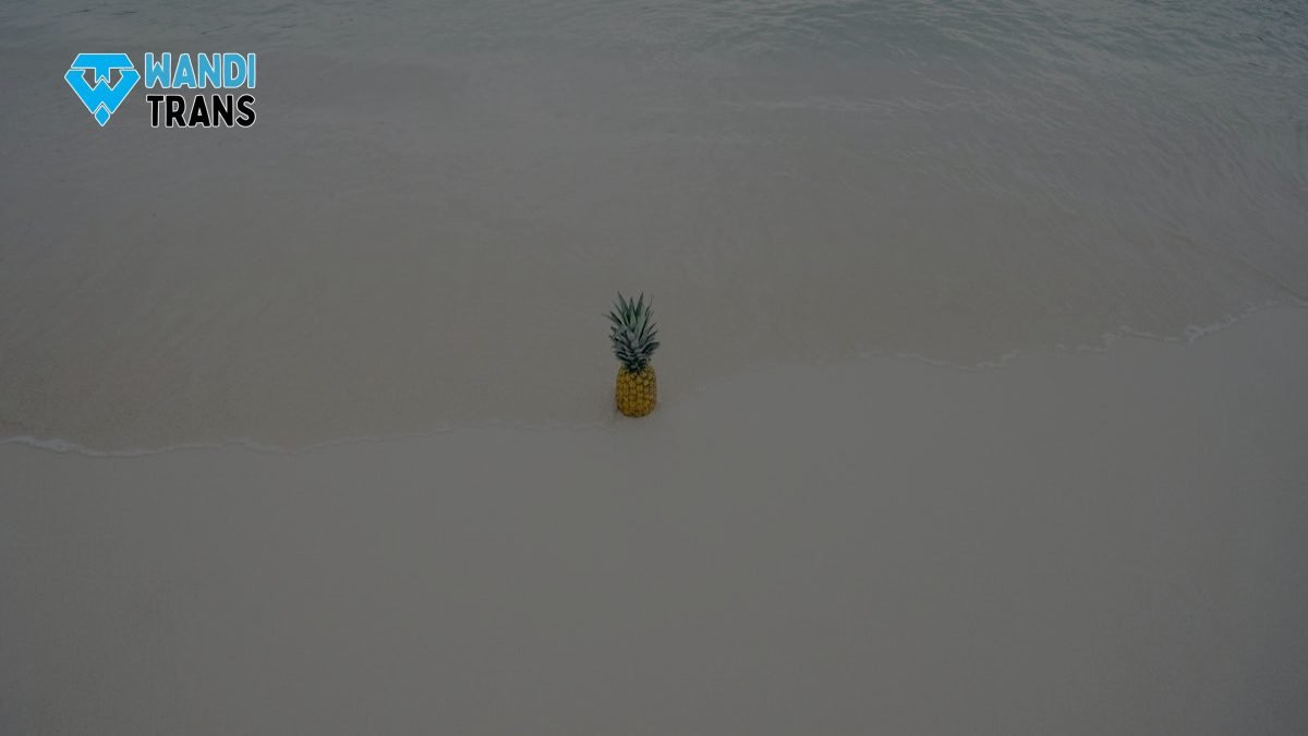 Ramadan Tiba, Lonjakan Rental Kendaraan Rombongan Siap Menemani