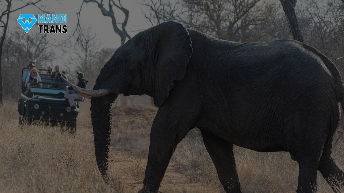Pesona Garut  Magnet Wisata Lebaran  Papandayan Hingga Santolo