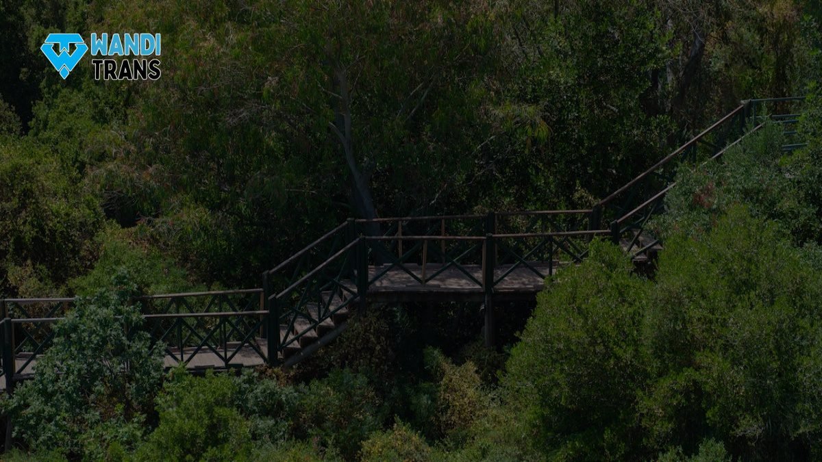 Eksotisme Banyuwangi: Pesona Desa di Agro Wisata Tamansuruh